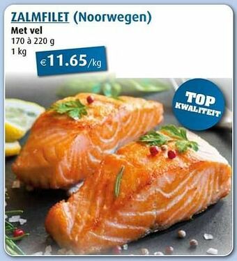 Zalmfilet met vel