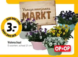 Jumbo Violenschaal aanbieding