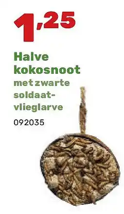 Happyland Halve kokosnoot met zwarte soldaatvlieglarve aanbieding