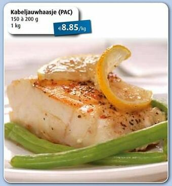 Aronde Kabeljauwhaasje aanbieding