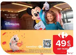 Carrefour Disneyland Paris aanbieding