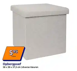 Action Opbergpoef aanbieding