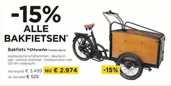 Bakfiets Qivelo