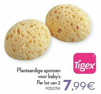 Cora Plantaardige sponzen voor baby’s aanbieding