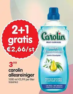 Yess carolin allesreiniger aanbieding