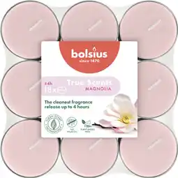 Albert Heijn Bolsius True scents geurtheelichten magnolia aanbieding