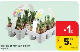 Carrefour Narcis of mix van bollen aanbieding