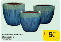 Carrefour Assortiment terracotta bloempotten aanbieding