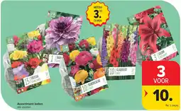 Carrefour Assortiment bollen aanbieding