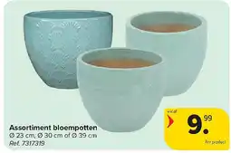 Carrefour Assortiment bloempotten aanbieding