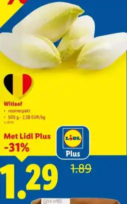 Lidl Witloof aanbieding