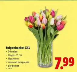 Lidl Tulpenboeket XXL aanbieding