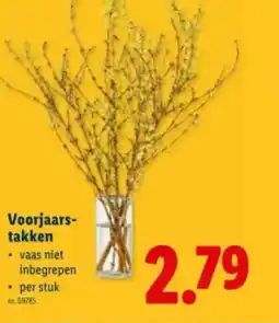 Lidl Voorjaars takken aanbieding