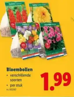 Lidl Bloembollen aanbieding