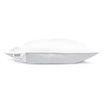 Leen Bakker HnL Living puntkussen White Label - 100% ganzendons - 60x70 - Leen Bakker aanbieding