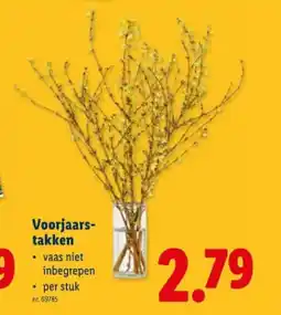 Lidl Voorjaarstakken aanbieding
