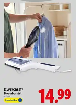 Lidl Stoomborstel aanbieding