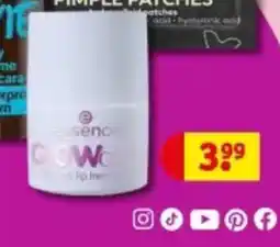 Kruidvat Essence aanbieding