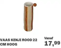 Trendhopper Vaas kenji rood aanbieding