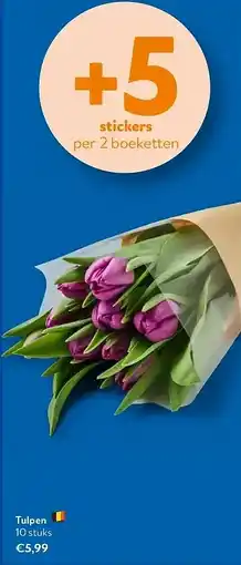 OKay Tulpen aanbieding