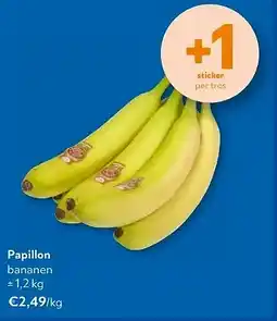 OKay Papillon aanbieding