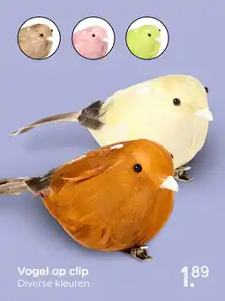 Xenos Vogel op clip aanbieding