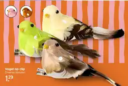 Xenos Vogel op Clip aanbieding