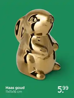 Xenos Haas Goud aanbieding