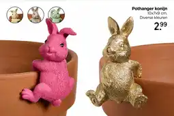 Xenos Pothanger Konijn aanbieding