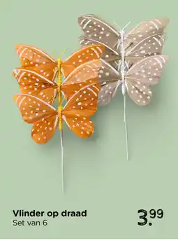 Xenos Vlinder op draad aanbieding