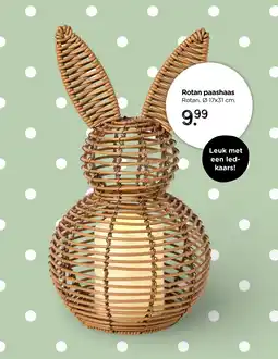 Xenos Rotan paashaas aanbieding