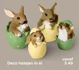 Xenos Deco haasjes in ei aanbieding