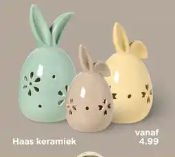 Xenos Haas keramiek aanbieding
