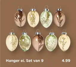 Xenos Hanger ei. Set van 9 aanbieding
