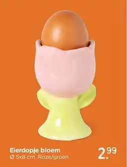 Xenos Eierdopje bloem aanbieding