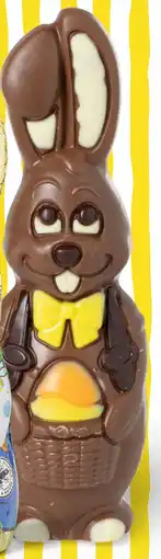 Xenos Chocolade paashaas aanbieding