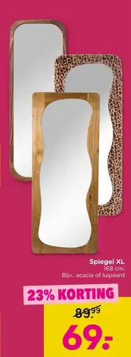Xenos Spiegel XL aanbieding