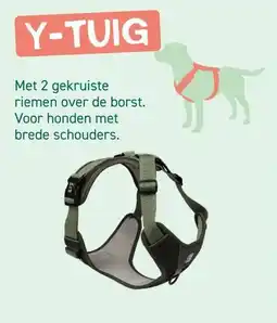 Tom&Co Y-TUIG aanbieding