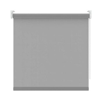 Leen Bakker Rolgordijn lichtdoorlatend - lichtgrijs - 120x250 cm - Leen Bakker aanbieding