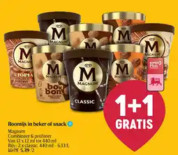 Delhaize Roomijs in beker of snack aanbieding