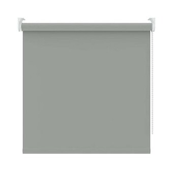 Leen Bakker Rolgordijn verduisterend - muisgrijs - 180x250 cm - Leen Bakker aanbieding