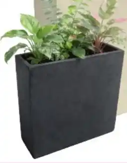 Van Cranenbroek O'malley Bloempot aanbieding