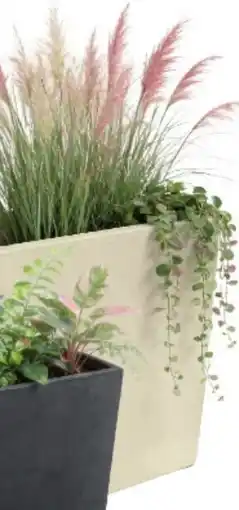 Van Cranenbroek O'malley Bloempot aanbieding