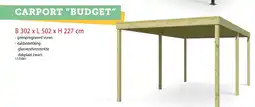 Hubo Carport budget aanbieding
