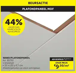 Zelfbouwmarkt WAND/PLAFONDPANEEL aanbieding
