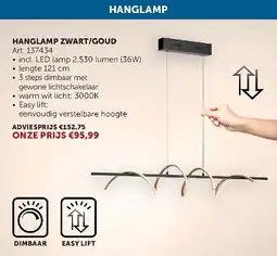 Zelfbouwmarkt HANGLAMP ZWART/GOUD aanbieding