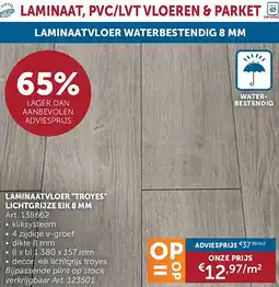 Zelfbouwmarkt LAMINAATVLOER TROYES LICHTGRIJZE EIK 8 MM aanbieding