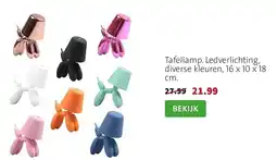 Intratuin Tafellamp aanbieding