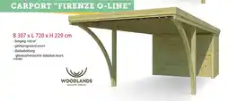 Hubo Woodlands QB Firenze carport 307x720 cm aanbieding
