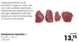 Hanos Kangoeroe topsides aanbieding